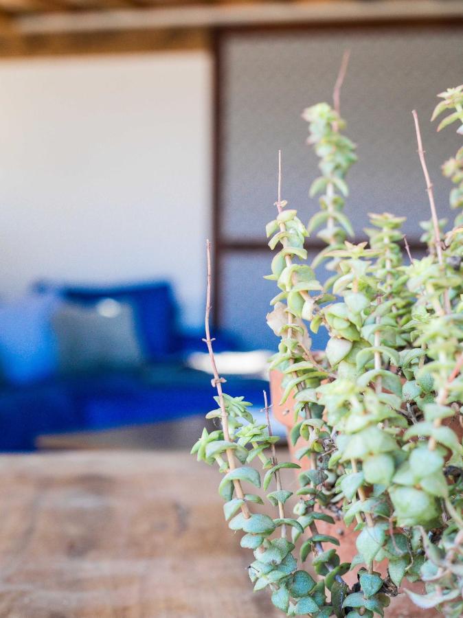Eco Lodge Carbonaccio Chiatra Zewnętrze zdjęcie